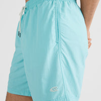 Vert 16'' Swim Shorts | Aqua Spalsh