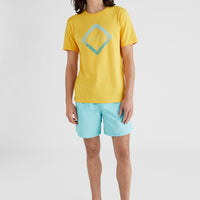 Vert 16'' Swim Shorts | Aqua Spalsh