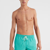 Vert 16'' Swim Shorts | Sea Green