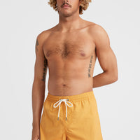 Vert 16'' Swim Shorts | Nugget