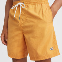 Vert 16'' Swim Shorts | Nugget