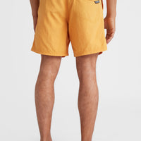 Vert 16'' Swim Shorts | Nugget