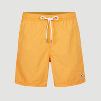 Vert 16'' Swim Shorts | Nugget