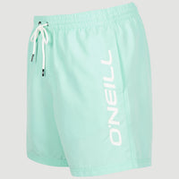 Cali 16'' Swim Shorts | Beach Glass