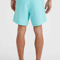 Cali 16'' Swim Shorts | Aqua Spalsh