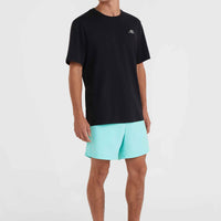 Cali 16'' Swim Shorts | Aqua Spalsh