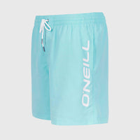 Cali 16'' Swim Shorts | Aqua Spalsh