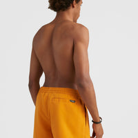 Original Cali 16'' Swim Shorts | Nugget