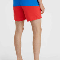 Frame Block Swim Shorts | Red Multi 2