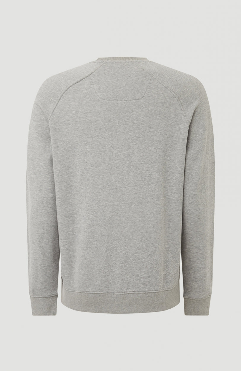 Color Grindle Crew Neck Sweatshirt | Silver Melee -A