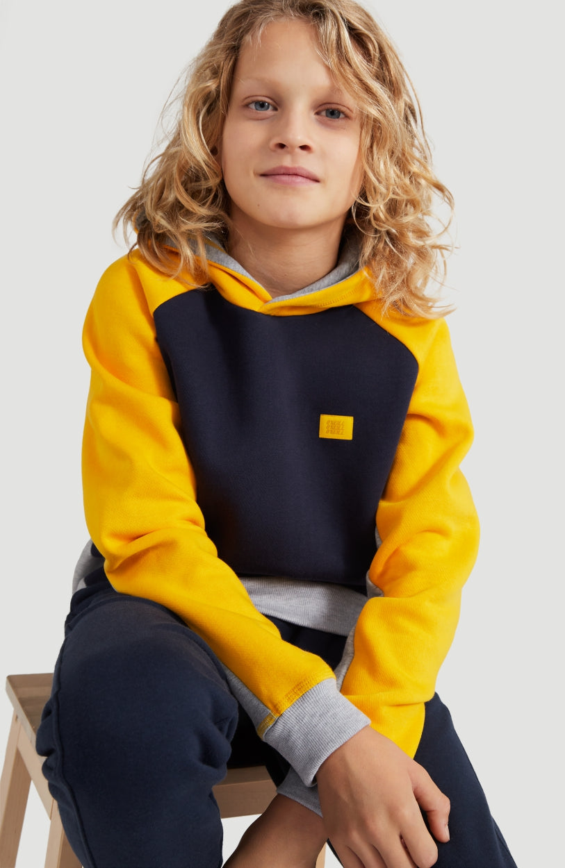 Colorblock Hoodie | Old Gold -A