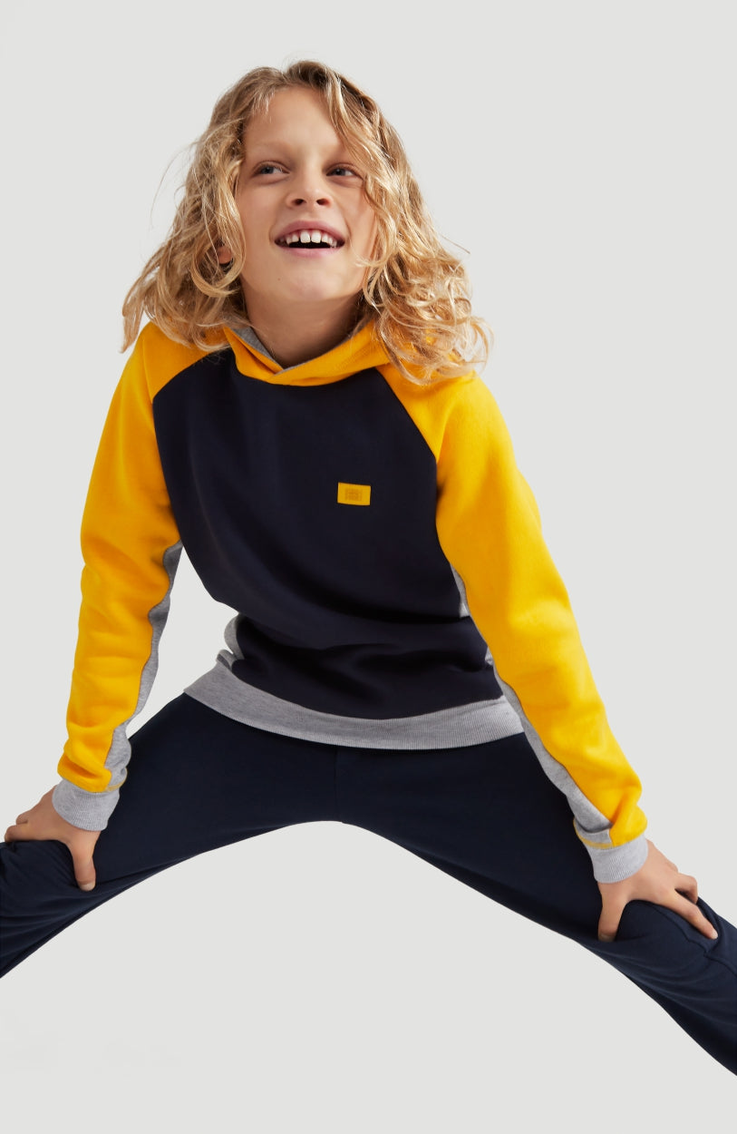 Colorblock Hoodie | Old Gold -A