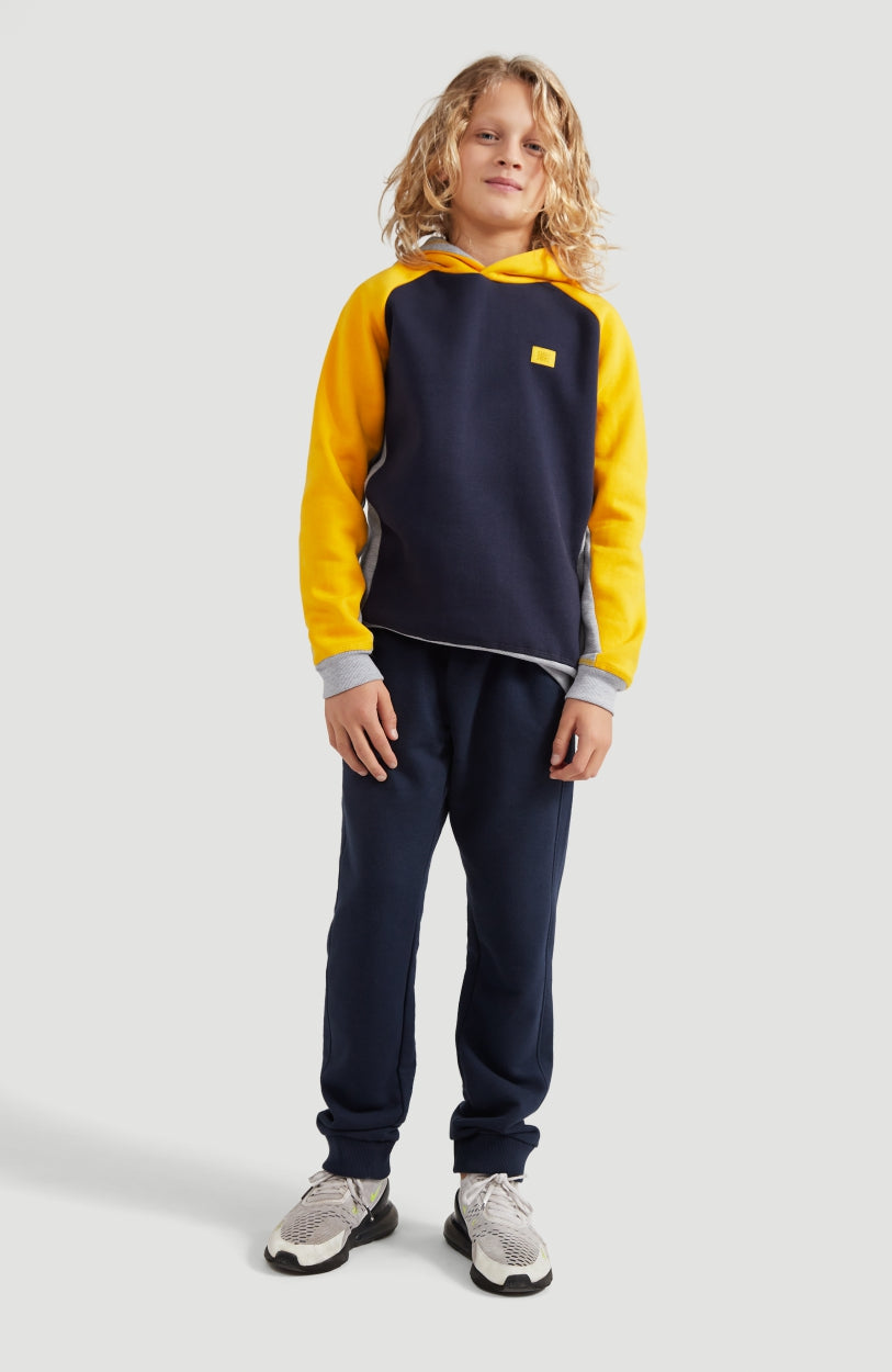 Colorblock Hoodie | Old Gold -A