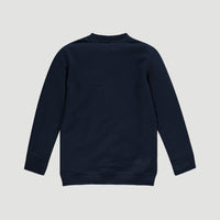 All Year Crew Neck Sweatshirt | Ink Blue -A