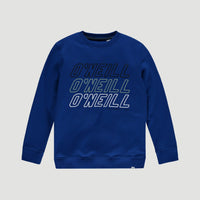 All Year Crew Neck Sweatshirt | Surf Blue