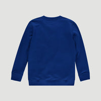 All Year Crew Neck Sweatshirt | Surf Blue