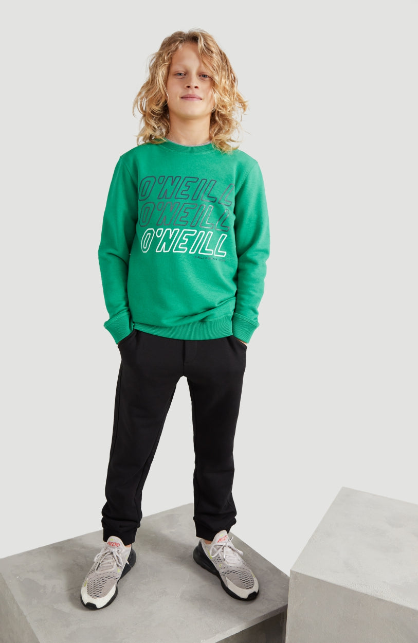 All Year Crew Neck Sweatshirt | Jolly Green