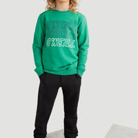 All Year Crew Neck Sweatshirt | Jolly Green