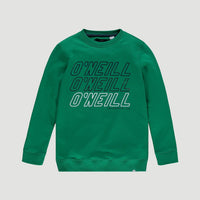 All Year Crew Neck Sweatshirt | Jolly Green