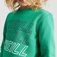 All Year Crew Neck Sweatshirt | Jolly Green