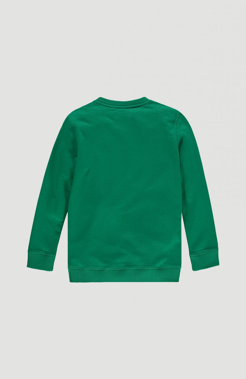 All Year Crew Neck Sweatshirt | Jolly Green