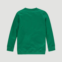 All Year Crew Neck Sweatshirt | Jolly Green