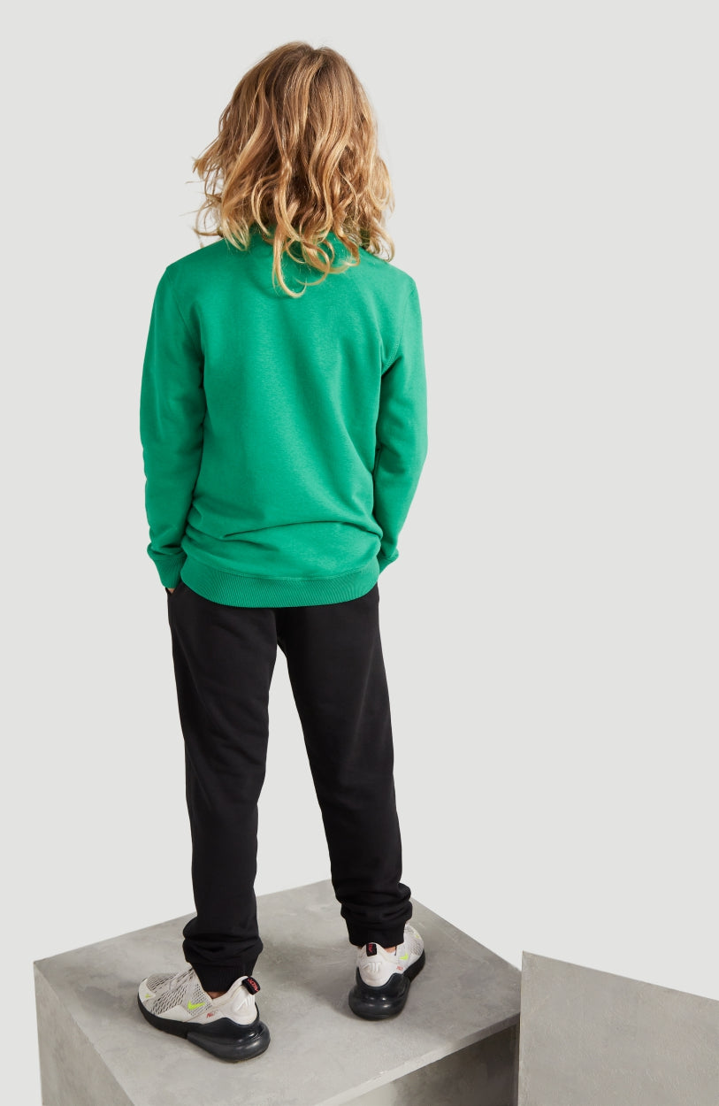 All Year Crew Neck Sweatshirt | Jolly Green