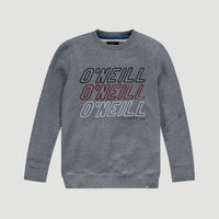 All Year Crew Neck Sweatshirt | Silver Melee -A