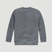 All Year Crew Neck Sweatshirt | Silver Melee -A
