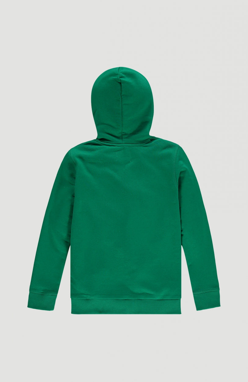 All Year Hoodie | Jolly Green