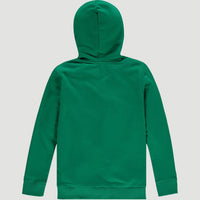 All Year Hoodie | Jolly Green