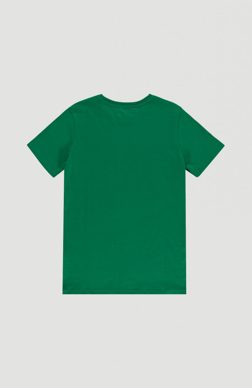 All Year Shortsleeve T-Shirt | Jolly Green