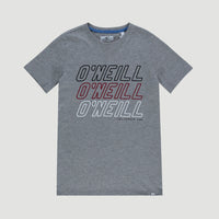 All Year Shortsleeve T-Shirt | Silver Melee -A