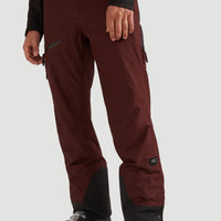 GORE-TEX 2-Layer Mountain Madness Snow Pants | Bitter Chocolate