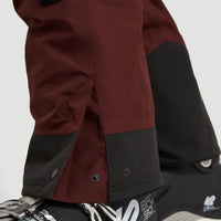 GORE-TEX 2-Layer Mountain Madness Snow Pants | Bitter Chocolate