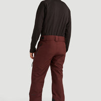 GORE-TEX 2-Layer Mountain Madness Snow Pants | Bitter Chocolate