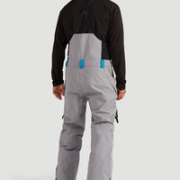 Ocean Mission Bib Snow Pants | Alloy