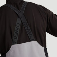 Ocean Mission Bib Snow Pants | Alloy
