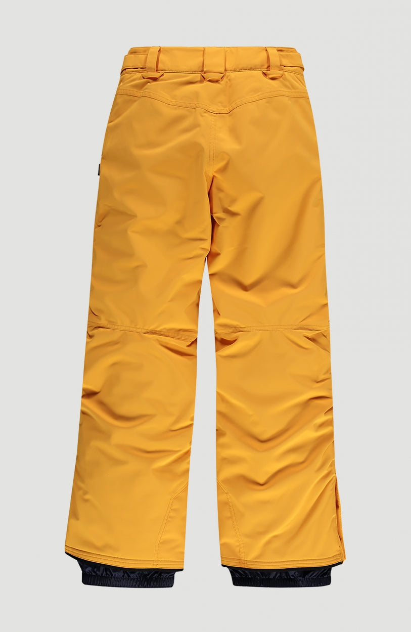 Anvil Snow Pants | Old Gold -A