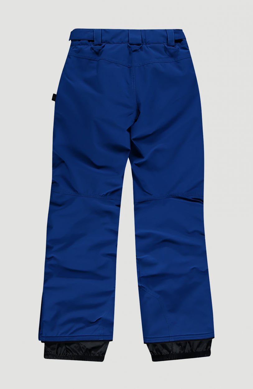Anvil Snow Pants | Surf Blue