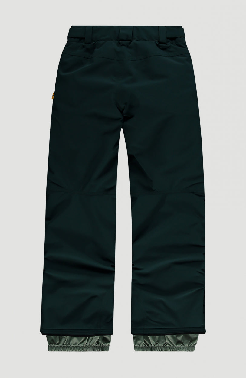 Anvil Snow Pants | Panderosa Pine