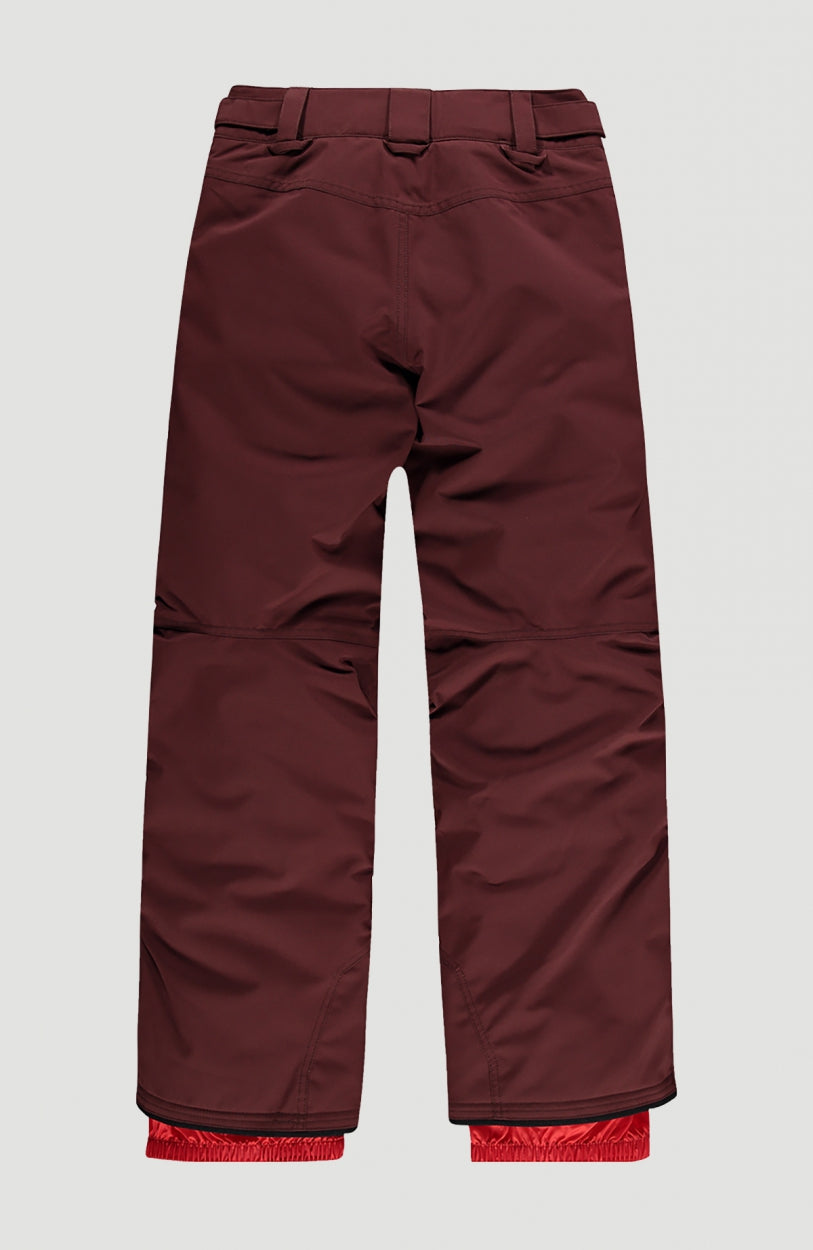 Anvil Snow Pants | Bitter Chocolate