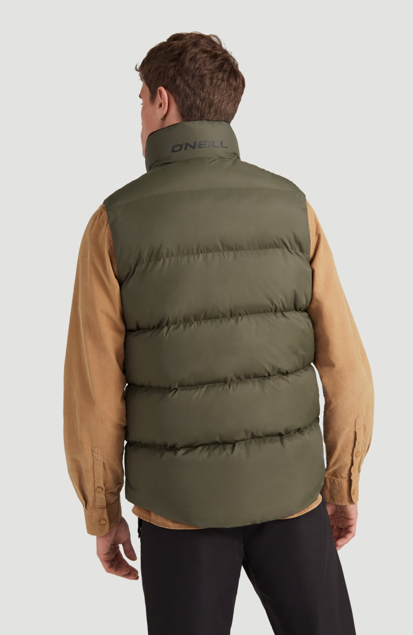 Bodywarmer Vest | Winter Moss