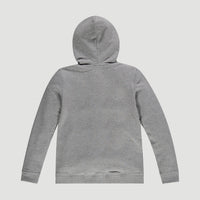 All Year Full Zip Hoodie | Silver Melee -A