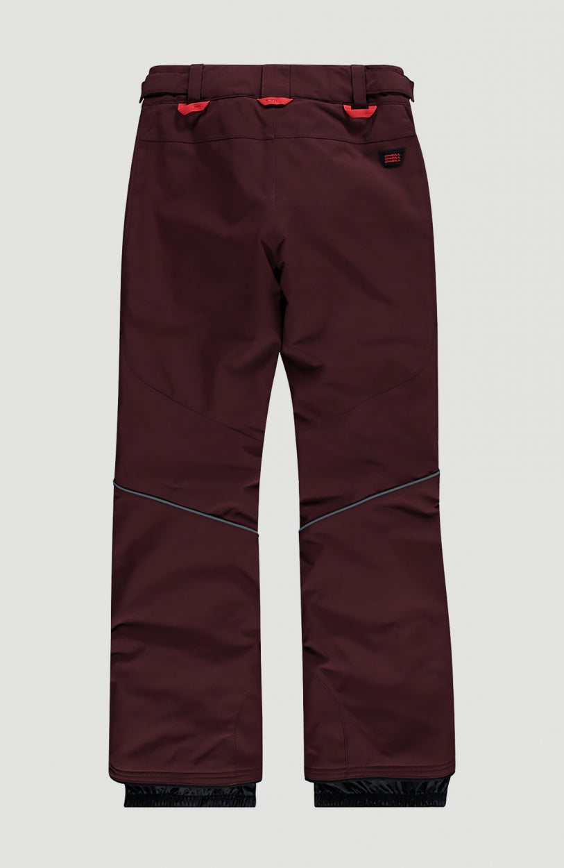Charm Regular Snow Pants | Bitter Chocolate