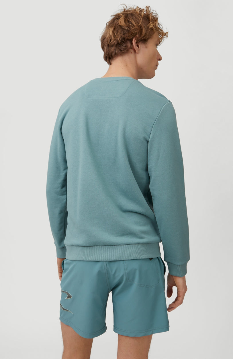 Tribe Crew Sweatshirt | Arctic