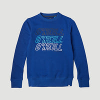 All Year Crew Sweatshirt | Surf Blue
