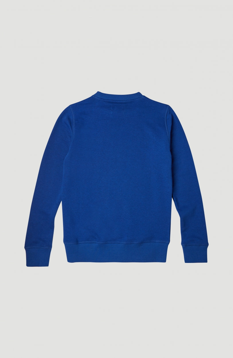 All Year Crew Sweatshirt | Surf Blue
