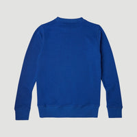 All Year Crew Sweatshirt | Surf Blue