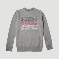 All Year Crew Sweatshirt | Silver Melee -A